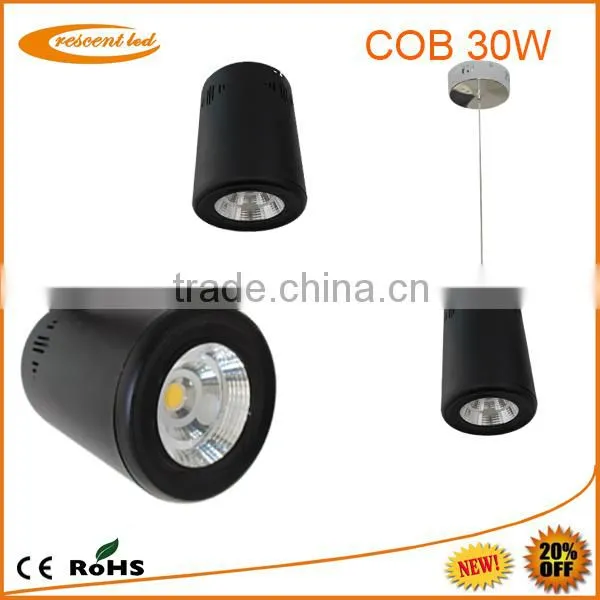 High Power Smd/cob Led Ceiling Light/ Cob Led Downlight 30w