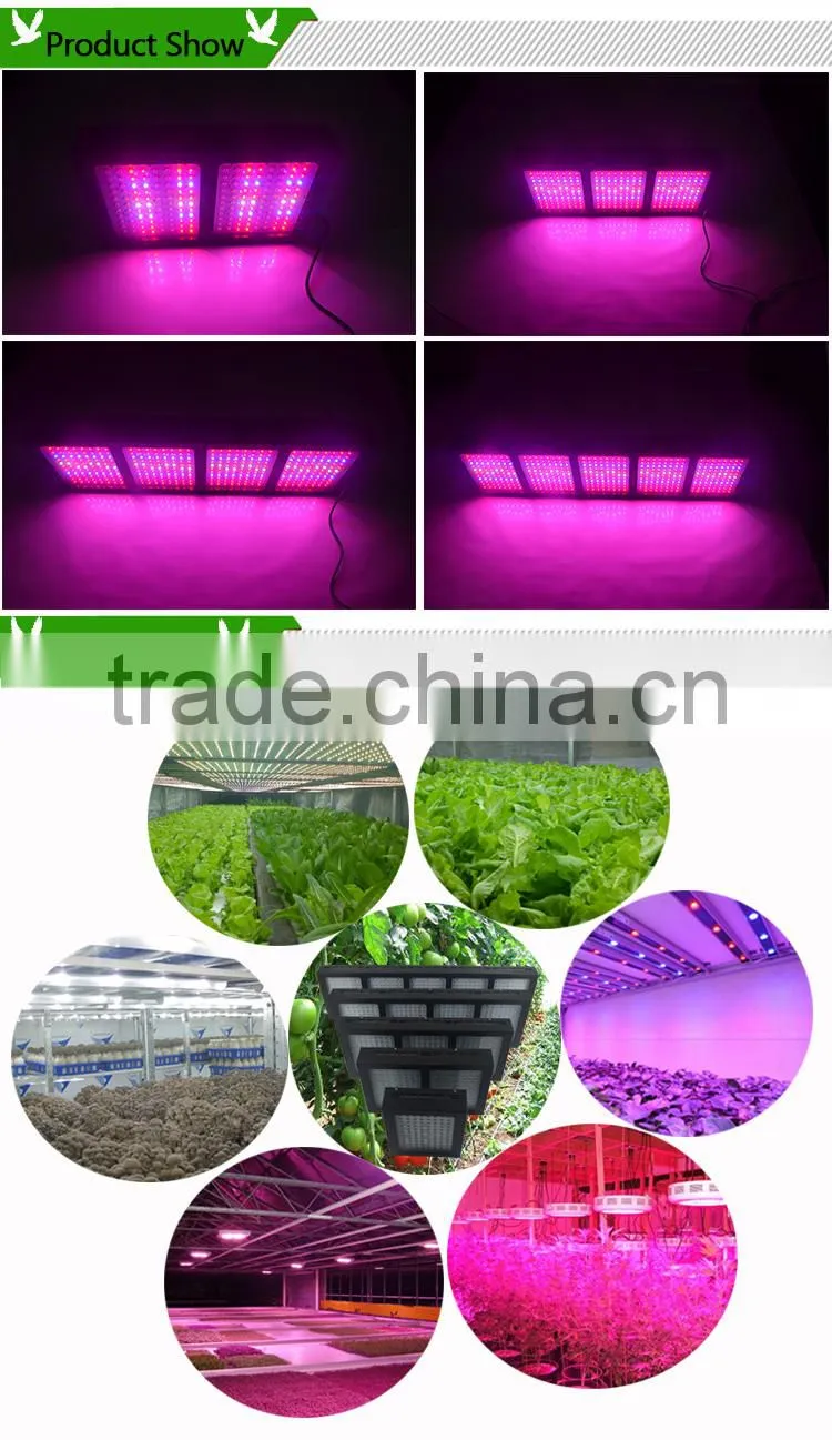 Factory price PF-3X-576W led grow light with good lighting effect for plant growth