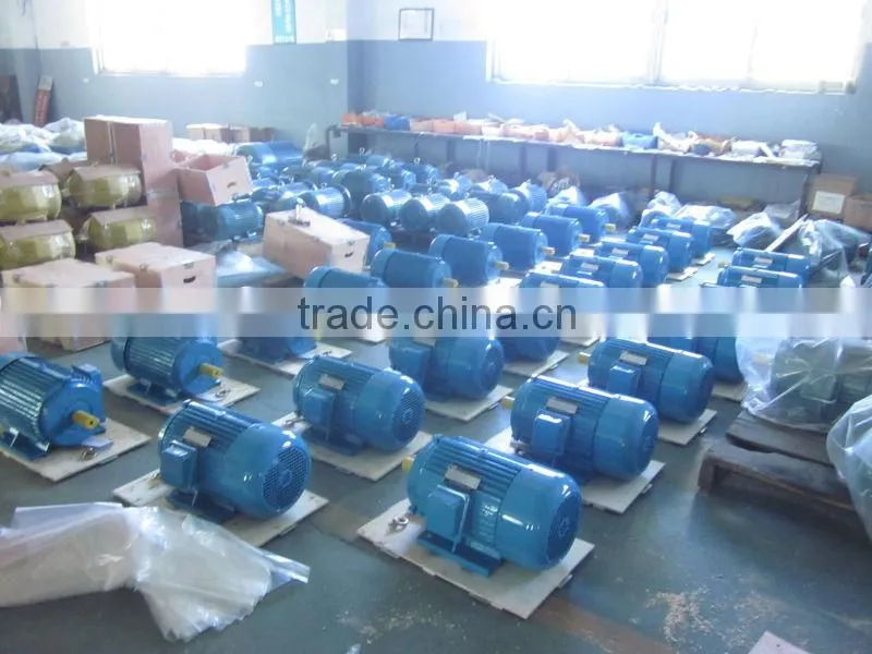 50Hz Newest Synchronous Motor