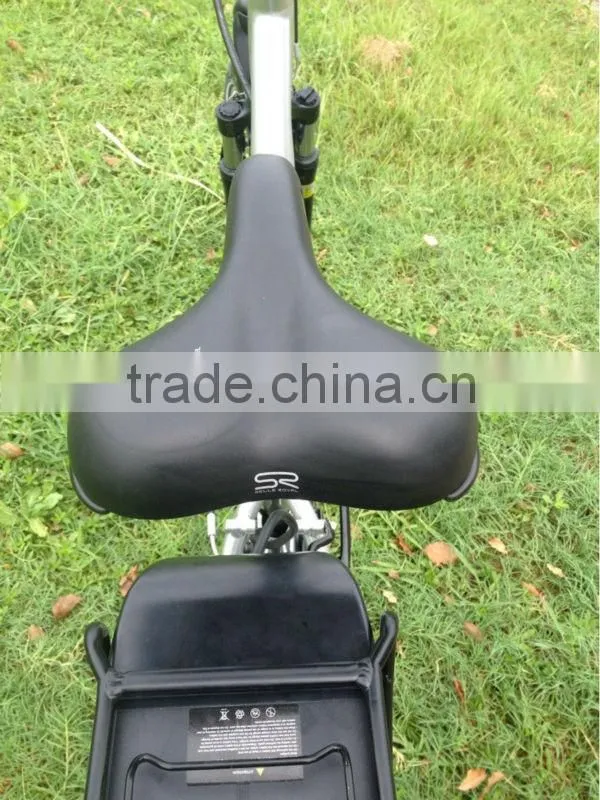 Dutch lady e bike with bafang bbs central motor 36V 250W and app fuction