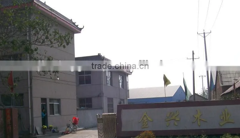 WBP Glue Film Faced Plywood/Shuttering Plywood Panel