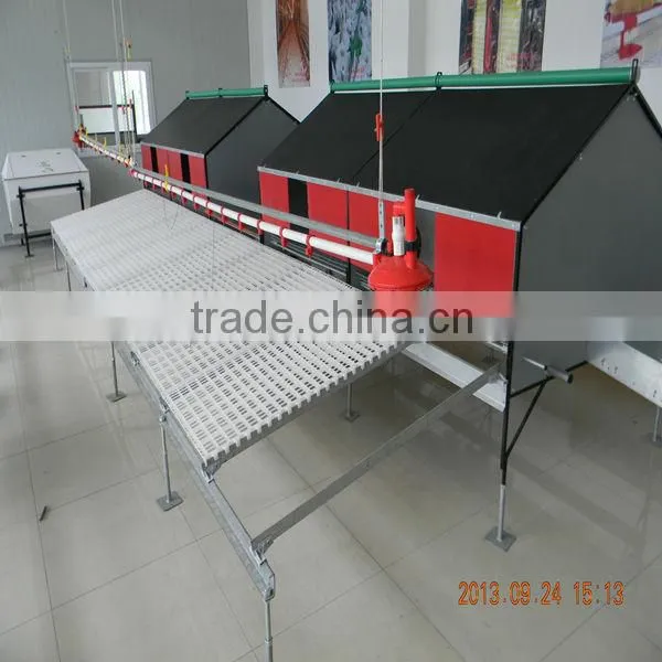 Full automatic poultry equipment for breeder chicken