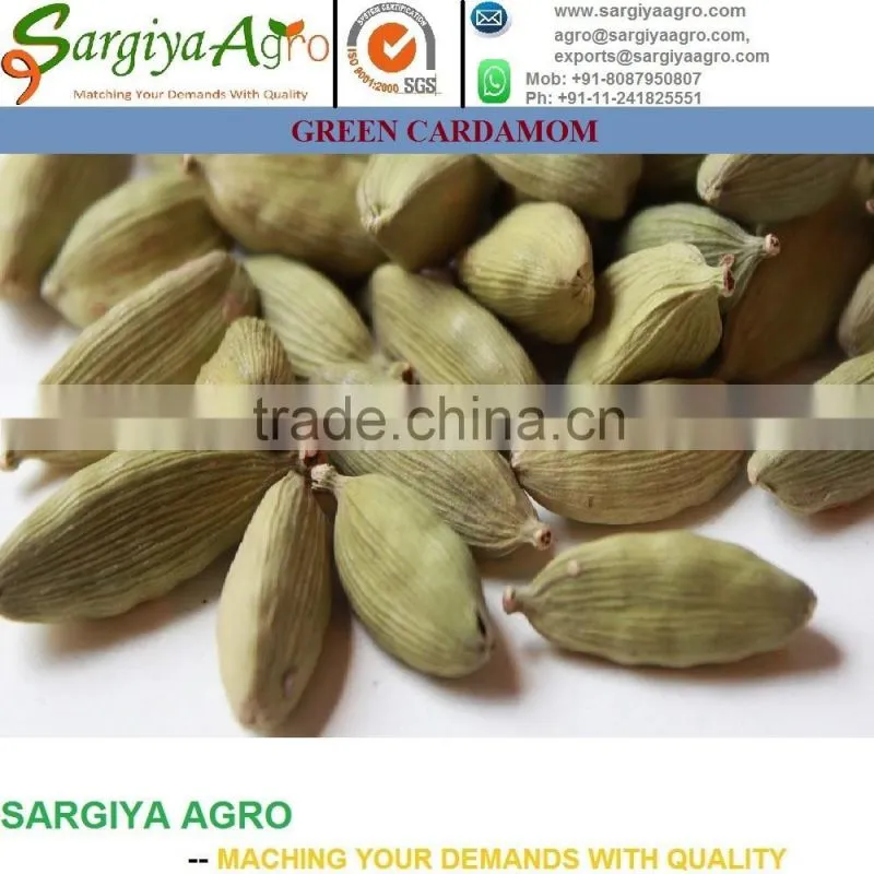 Green Cardamom l Fresh l Export Quality
