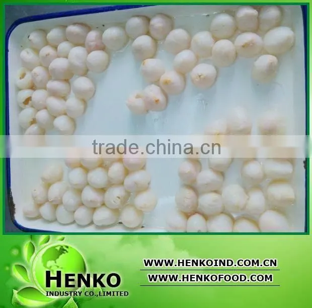 567g Canned fruit-Canned lychee