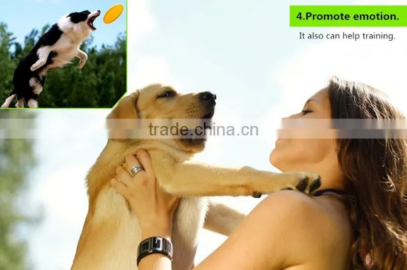 Pet food pet sausage with chicken