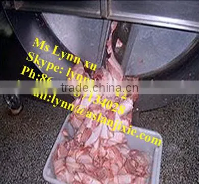 frozen meat flaker / meat slicing machine /meat planing machine