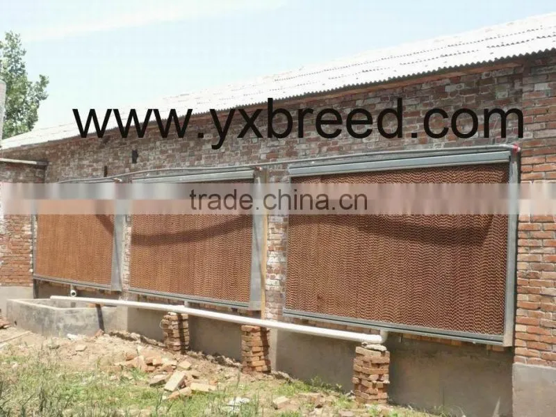 evaporative cooling pads for chicken house