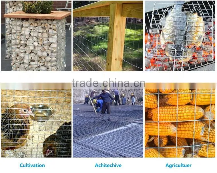 6x6 concrete reinforcing welded wire mesh/welded wire mesh/galvanized welded wire mesh panel