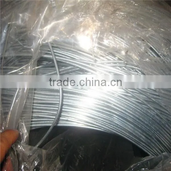Galvanized wire BWG 12 galvanized wire 1008/low price galvanized wire