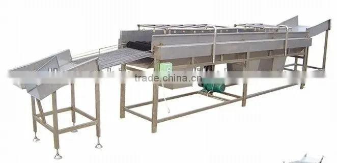 Potato Washing Machine