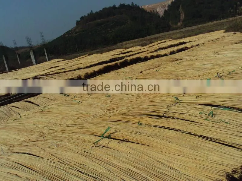 Raw Flooring Bamboo