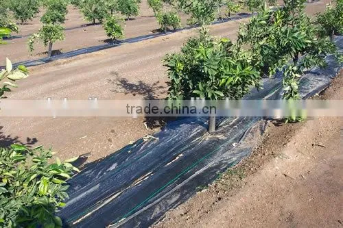1.1x100 black pp ground cover