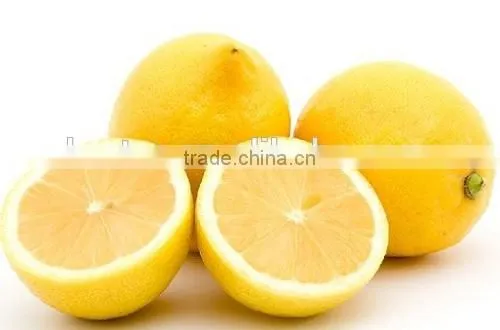 orange juicer Fruit orange juicer Orange squeezer Orange extruder Orange juicing machine Orange juicer