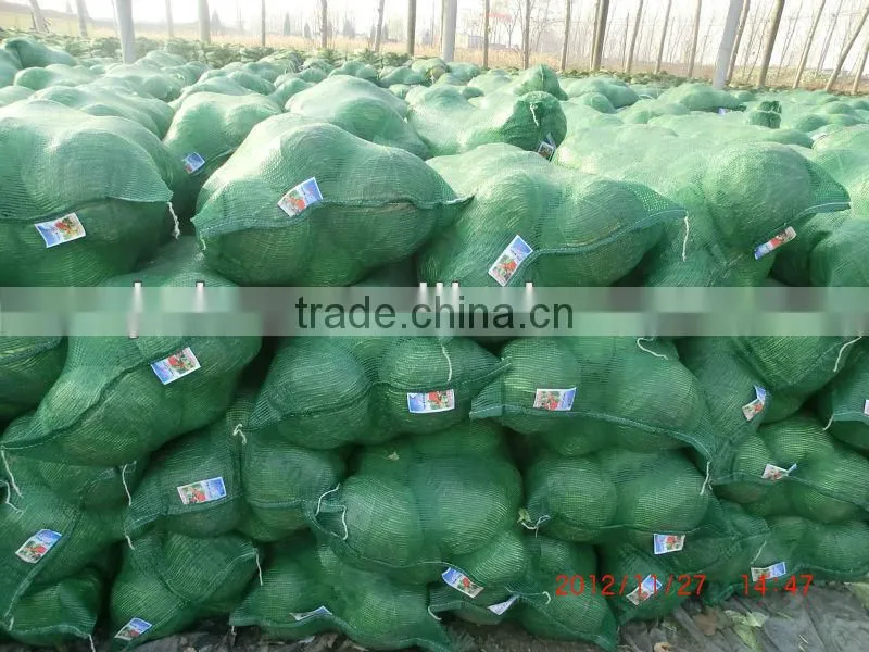 PP vegetables net bags , plastic tubular mesh bags