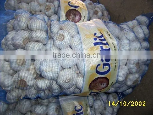 garlic in 20kg mesh bag