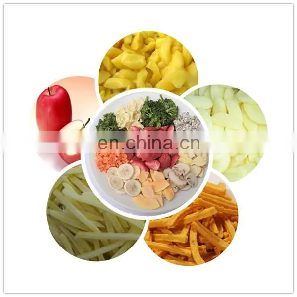 Strawberry dryer/dehydrator food processing machinery industrial food dehydrator for fruit & vegetable