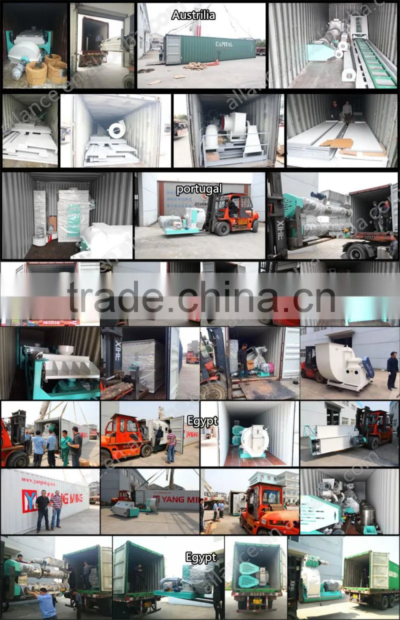 feed pelleting project