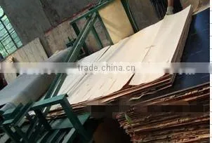 poplar plywood