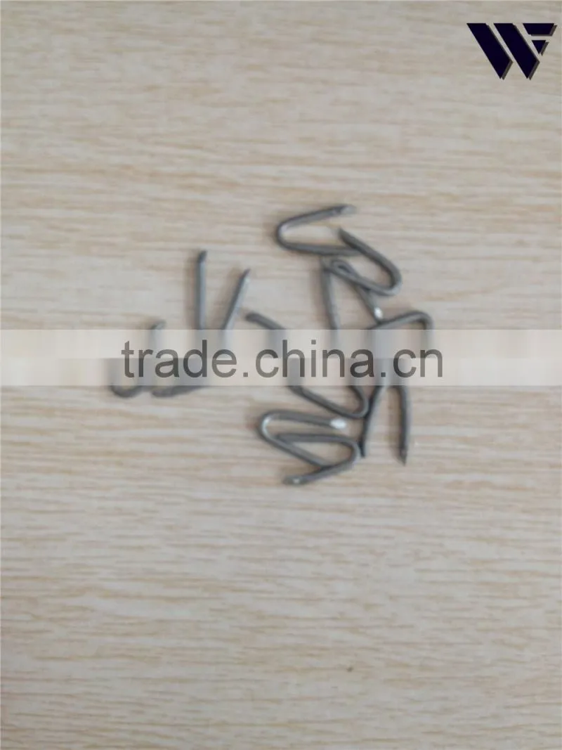 fence staple factory price