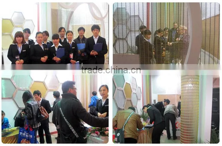 Stone/Rock Fall Protection Metal Wire Mesh(BV certification)