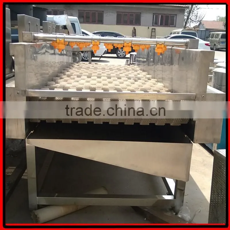Commercial Red Date Washing Machine|Automatic Olive Cleaning Machine