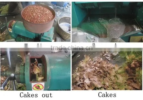 Economical Vegetable Seeds Oil Press Machine YZYX90-2