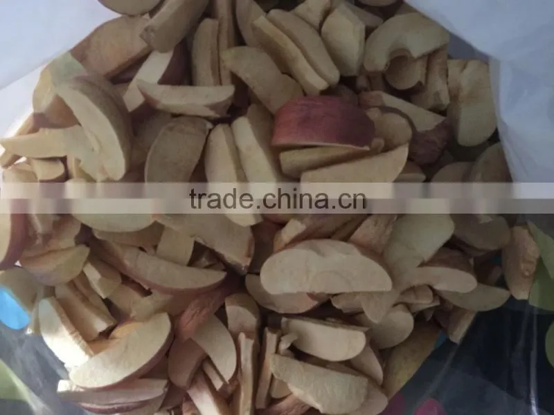 high-quality large capacity Vacuum freeze drying machine