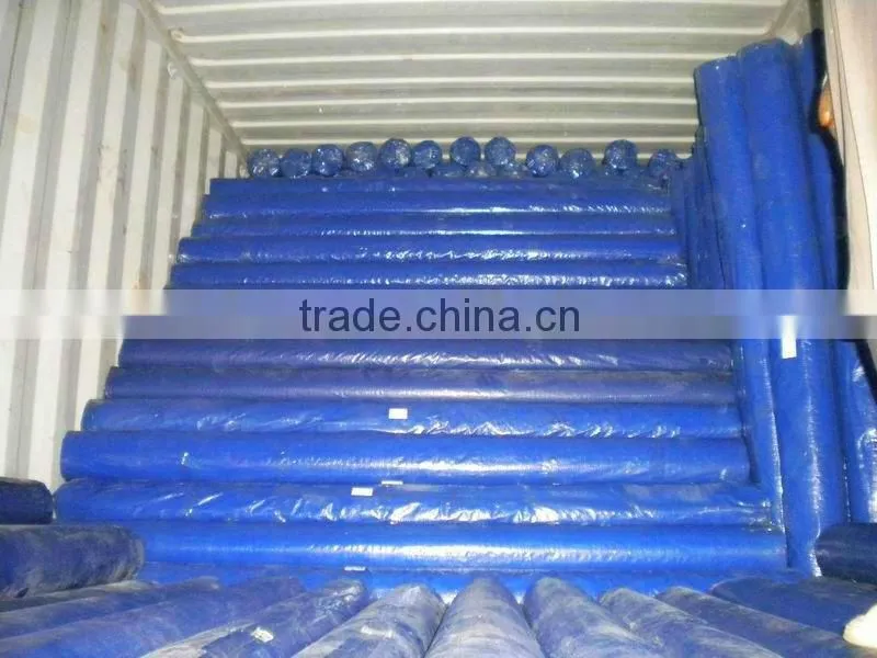 Blue Flame Retardant PE Tarpaulin With Grommet