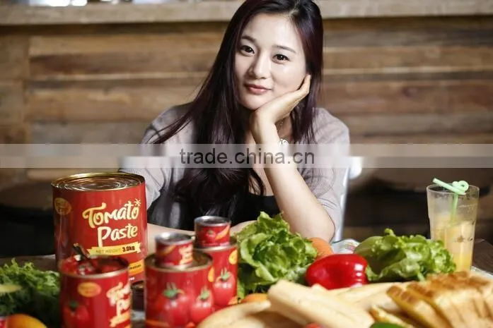 Canned foods wholesale,70G-3000G canned tomato paste, Brix: 28-30%
