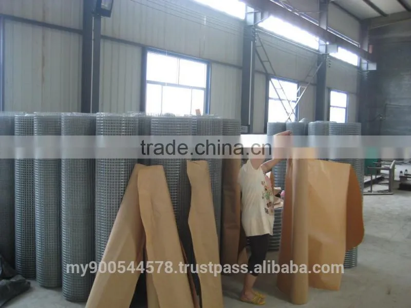 Welded mesh panel/ Welded Wire Mesh/Hot-dipped galvanized before welded