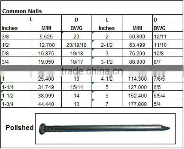 polished common nail,polished common nails
