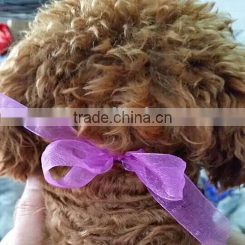 Fashion Soft Pet product Pet Collar Silicone dog muzzle