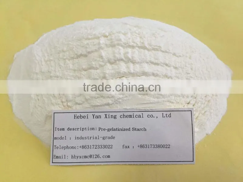 Great sales white powder pre-gelatinized starch