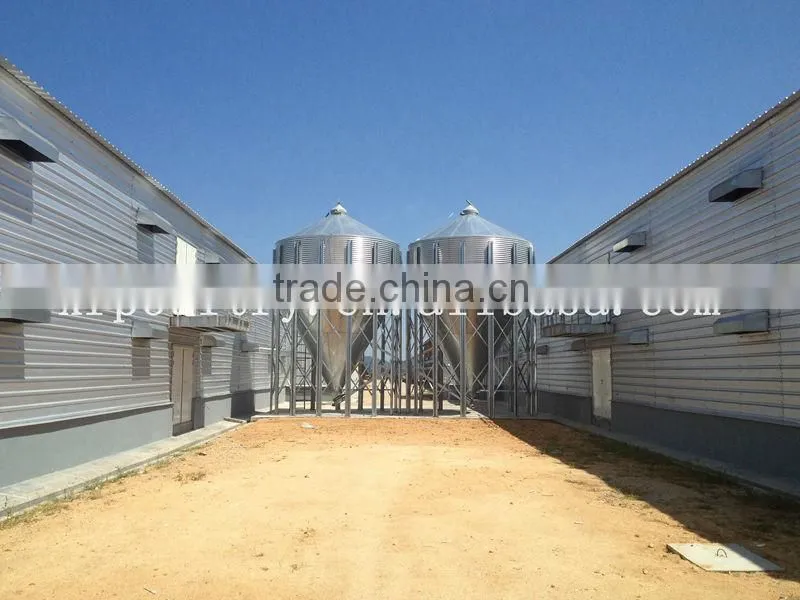 Full-auto Equipment with fan cooling pad for Poultry farm chicken house