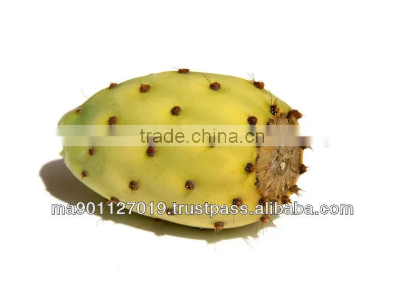 Barbary Fig soap