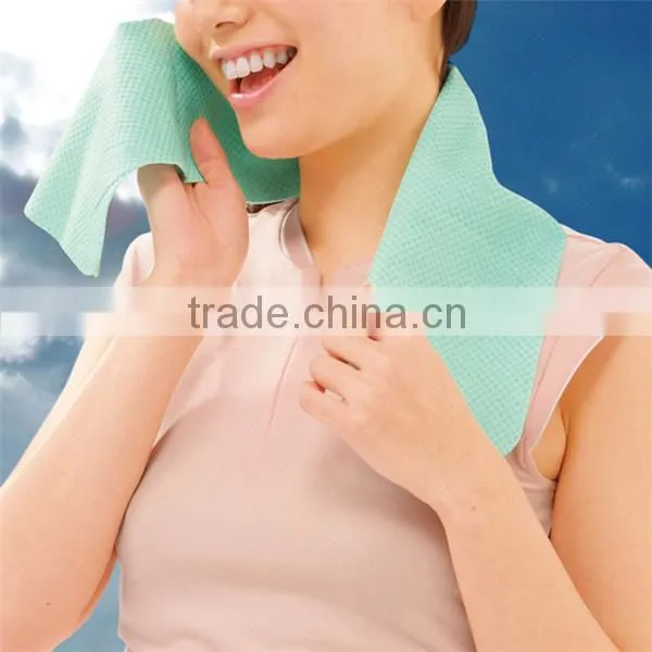 absorber chamois/pva chamois
