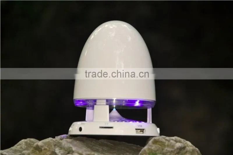Bullet bluetooth speaker with FM and Voice reminder