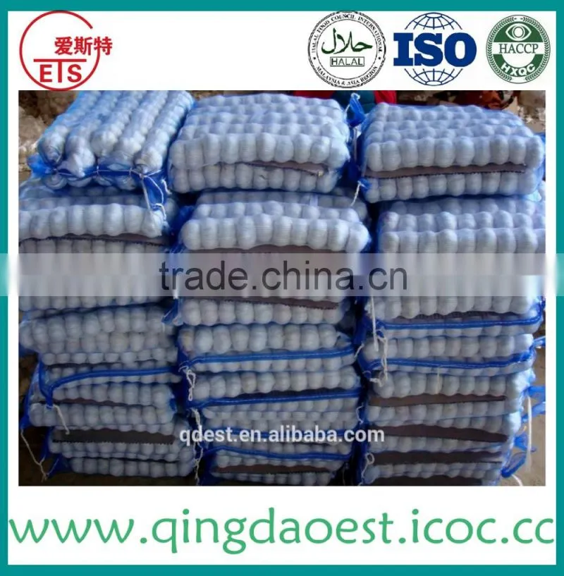 Garlic in brine with peeled garlic from factory price