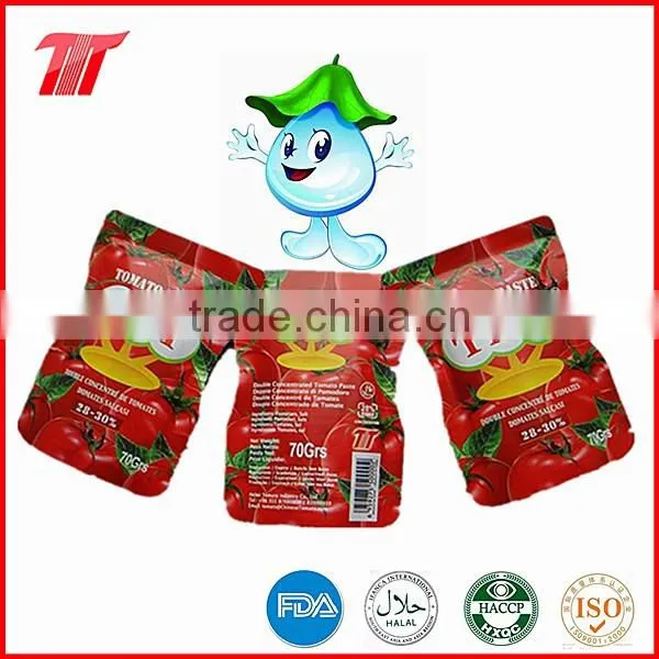 70g Bags Tomato Paste Sauce