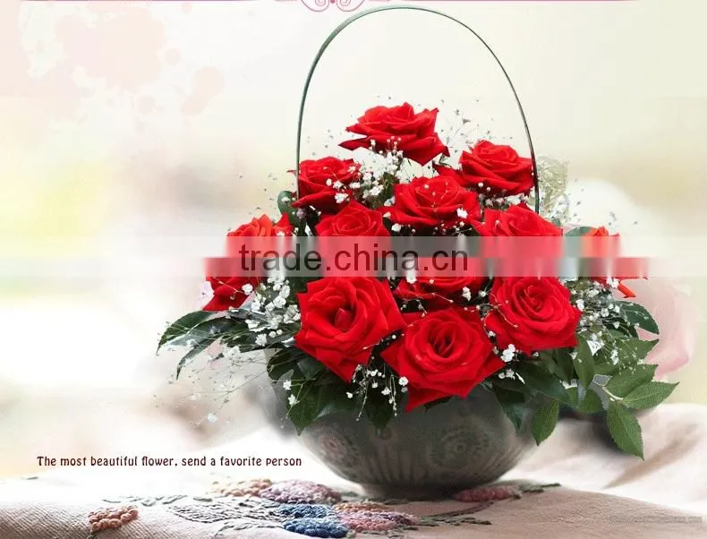Export cut fresh flower of red rose flower from china