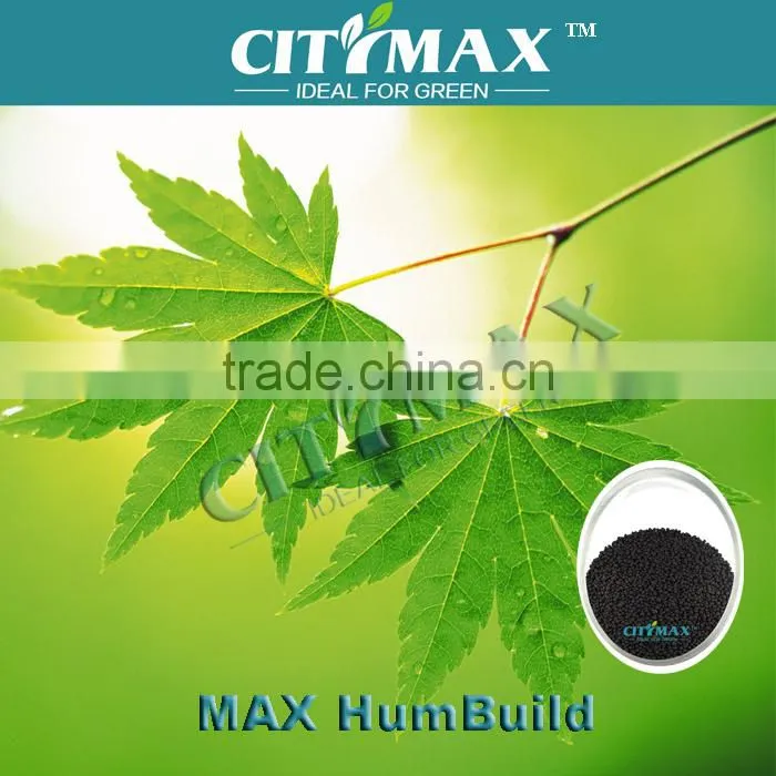 60% Humic Acid Dry Basis From Leonardite