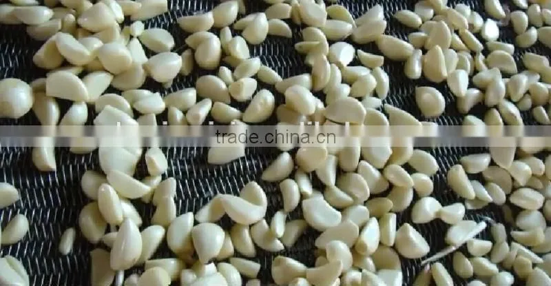 Belt Type CCD Color Sorter for Fresh Garlic or beans or seeds 0086 371 65866393