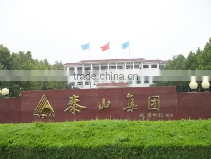 Taishan Group Co., Ltd. company overview - view 2