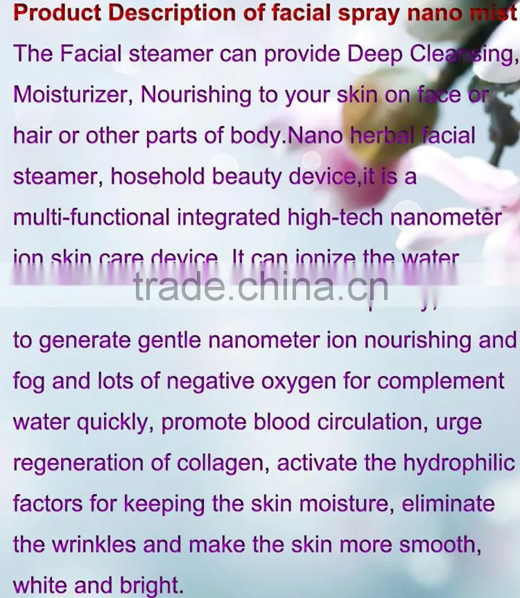 2017 beauty cheap salon Facial Steamer with ozone Moisturizer machine