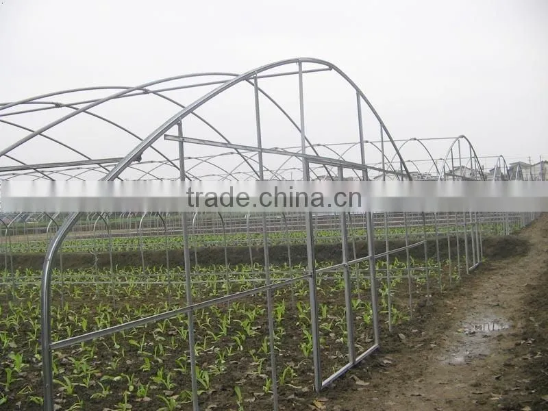 Cheap Tunnel Vegetable Greenhouse With Shading Screen