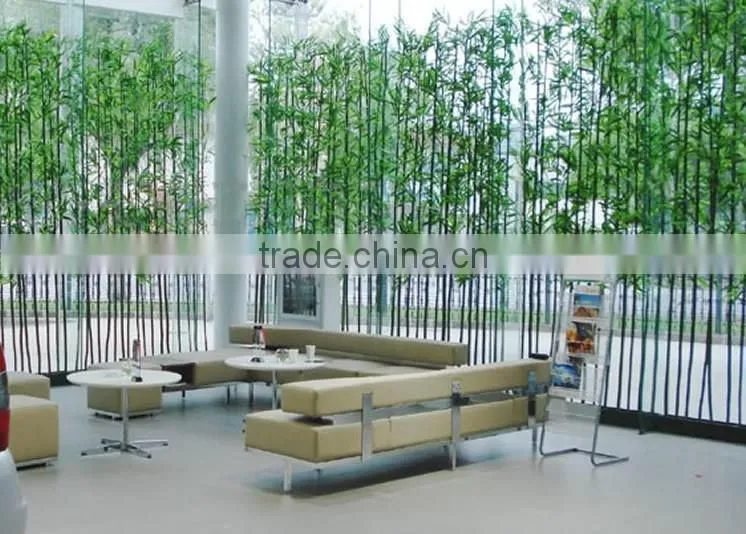 2016 Indoor bonsai trees bonsai plant sale bonsai plants bamboo