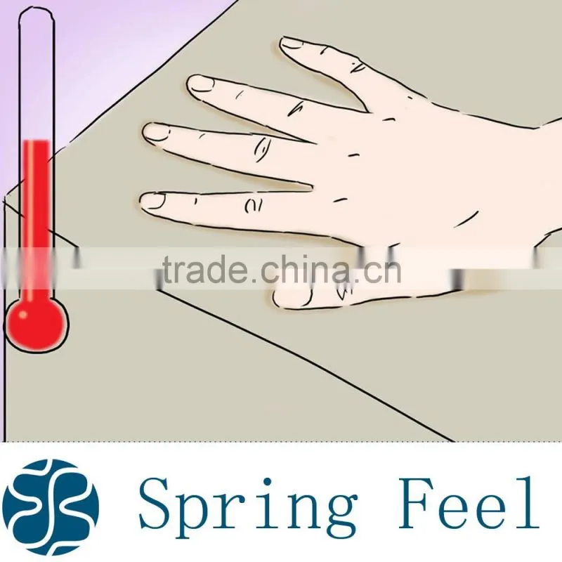 Memory Foam Mattress with Competitive Price
