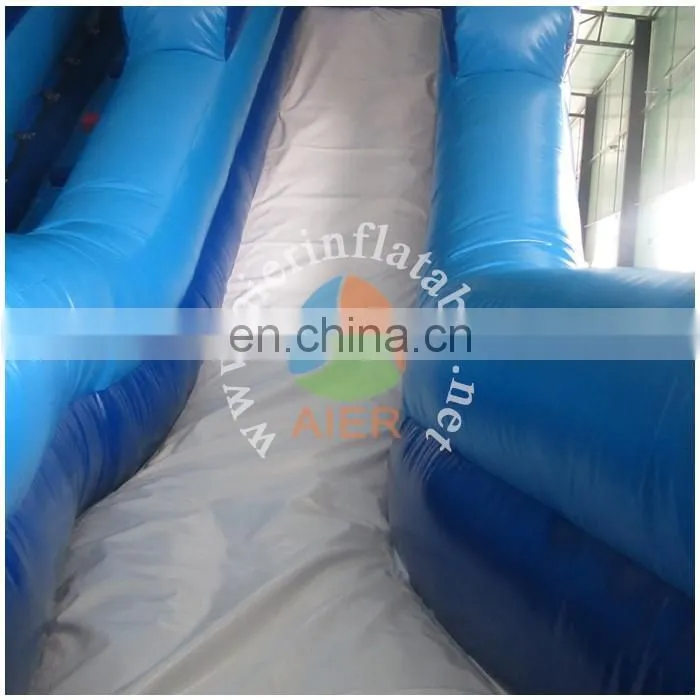 Indoor Inflatable Blue Slide