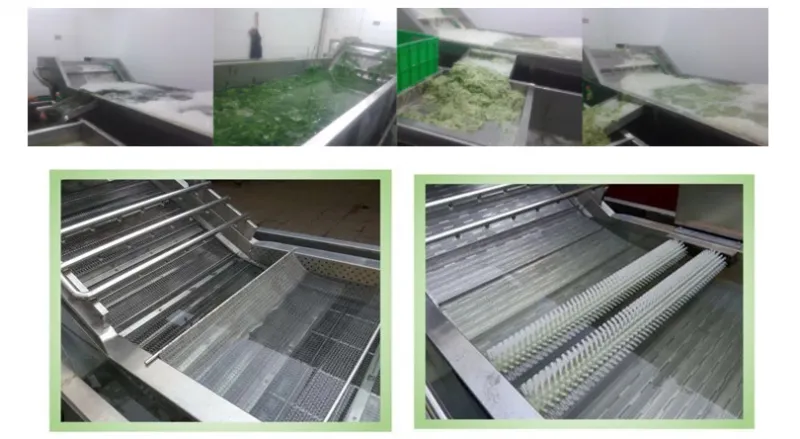dry waxing Fruit Drying Line Vegetable Washing Machine Industrial Spice Mussel Cleaning Drying Machine Fruit and Vegetable Drying Machine juice making