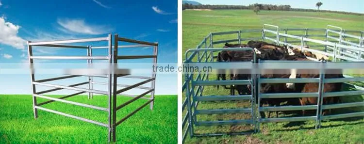 qunkun cheap cattle panels for sale